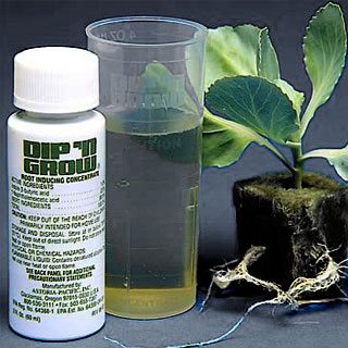 rooting hormone 2 oz